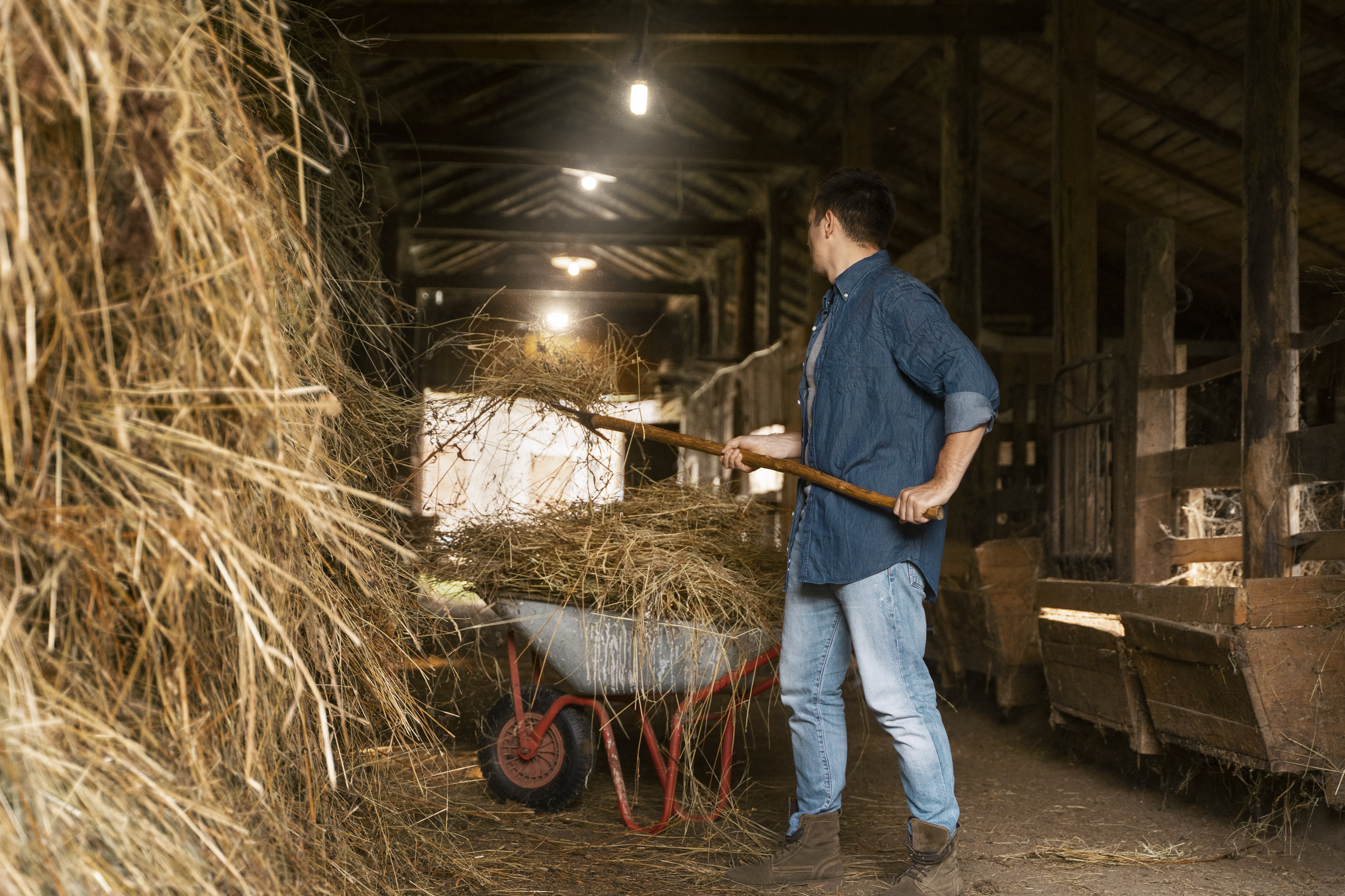 Ganadero en el campo